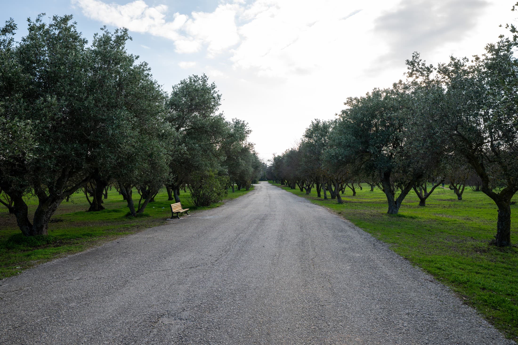 Finca Syngrou