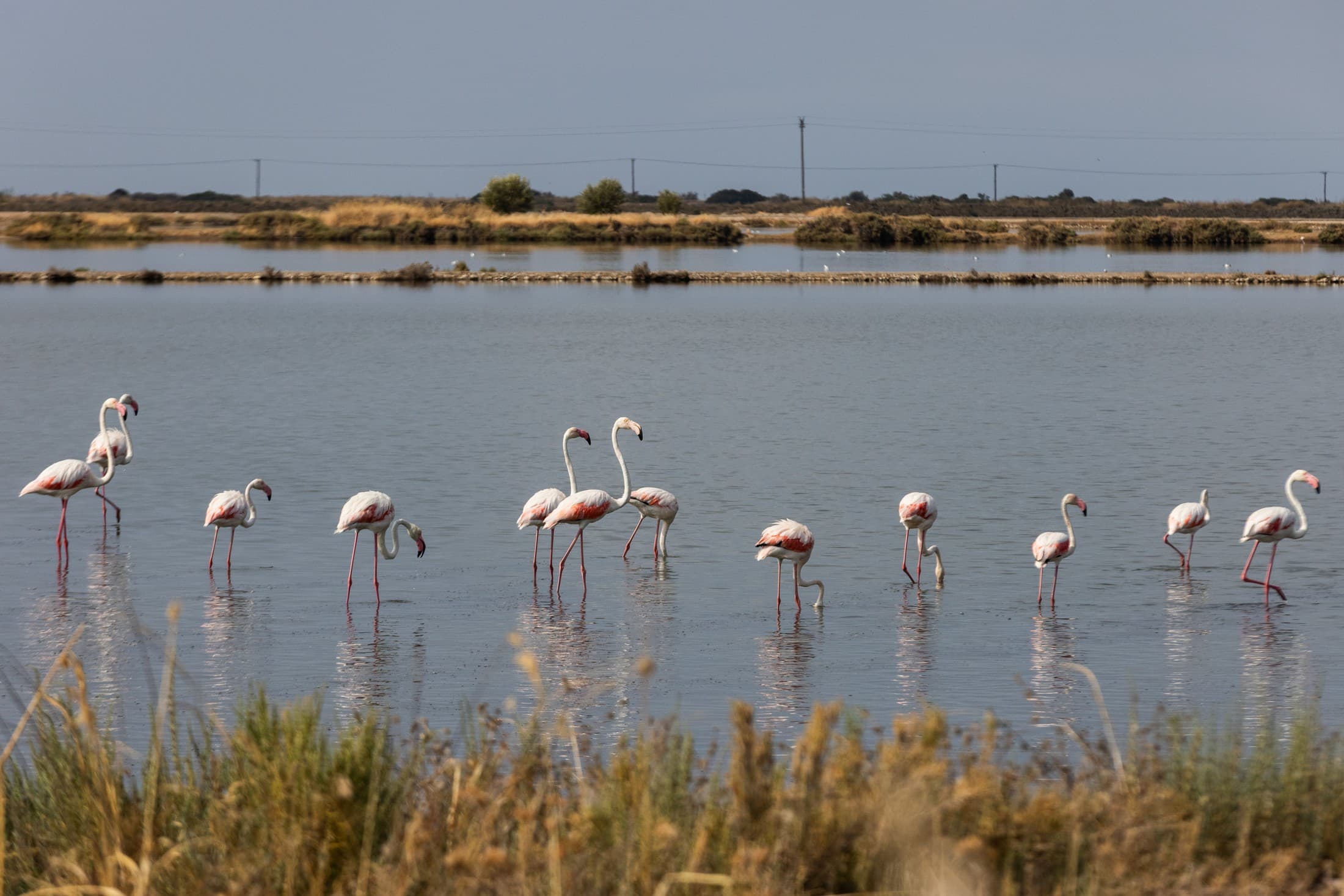 Actividades ecoturísticas: El paisaje de la armonía