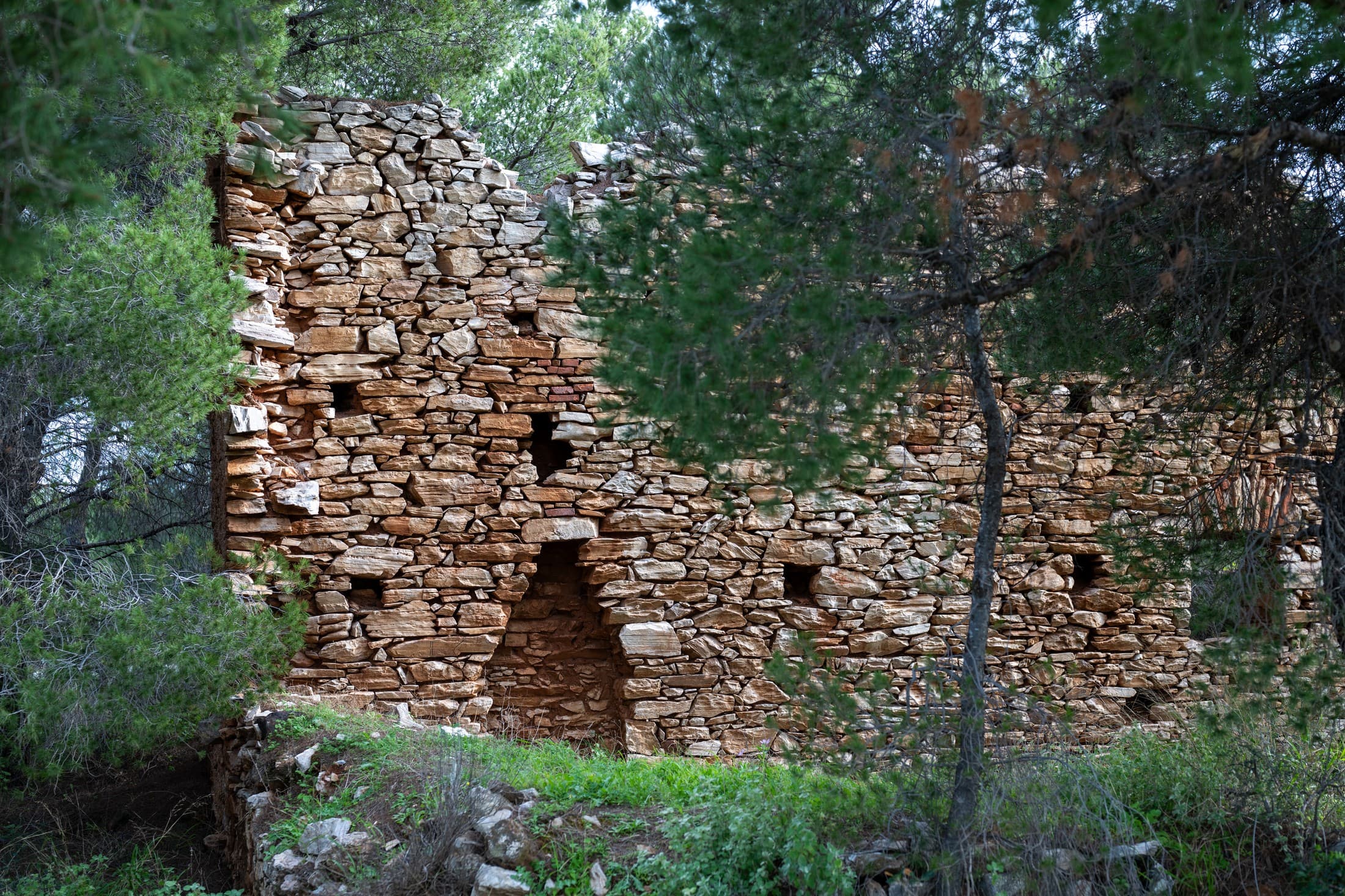 Gallery image