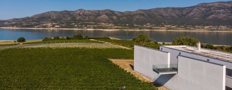 Vinos de Kozani
