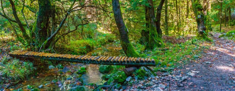 Menalon Trail