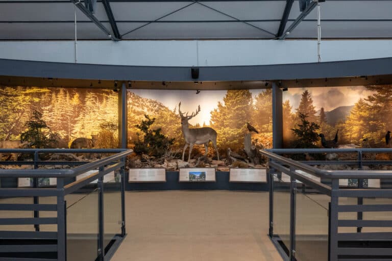 Le musée d’histoire naturelle de Crète
