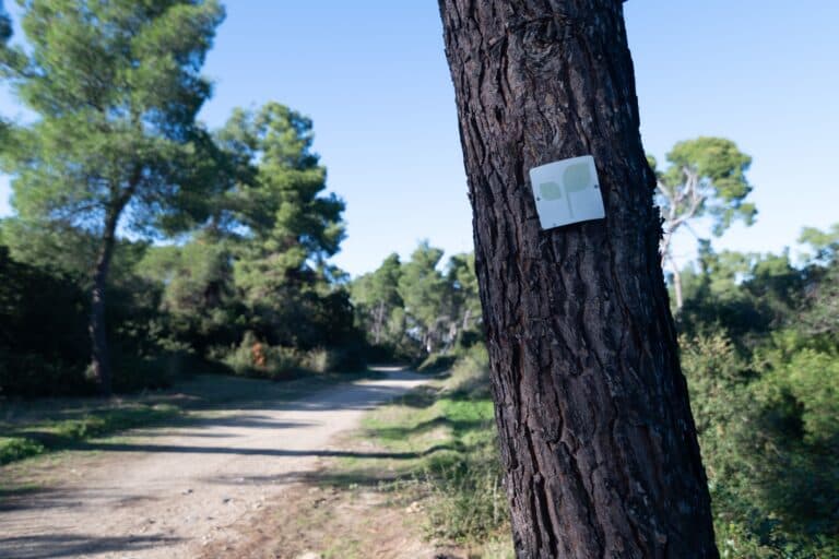 Senderismo en Kassandra