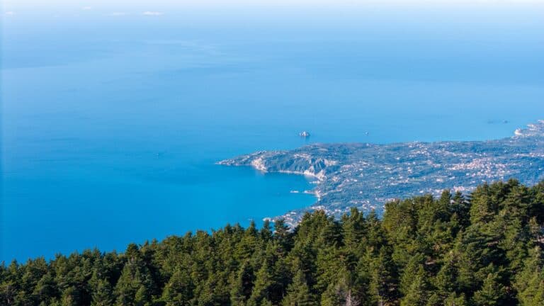 Εθνικός Δρυμός Αίνου