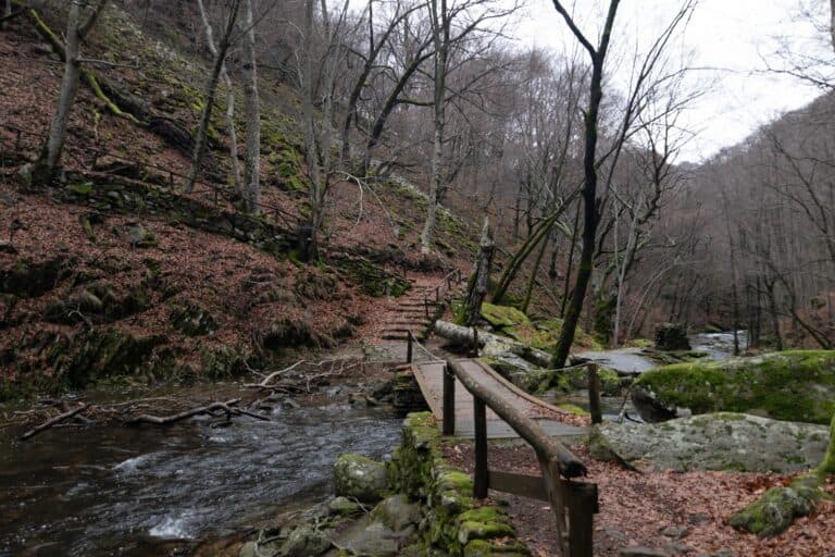 Parco Nazionale della Catena dei Rodopi