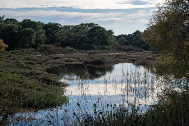 Parque Nacional de Schinias-Maratón