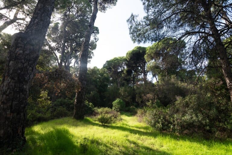 Skiathos, un paysage d’importance nationale