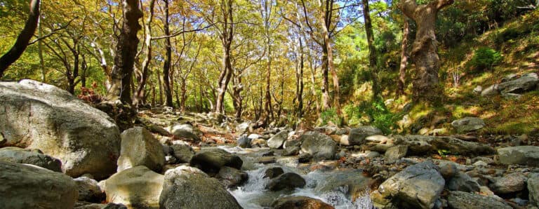 Escursione a Stenì, a Evia