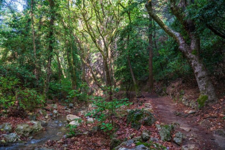 Explore the Mountains of Samos Island