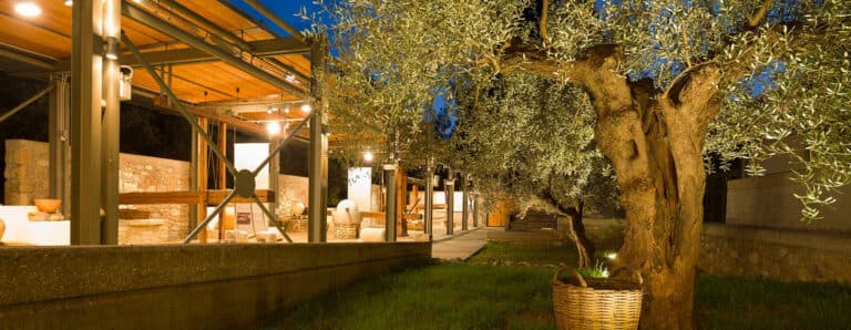 Olive Oil Museums around Greece