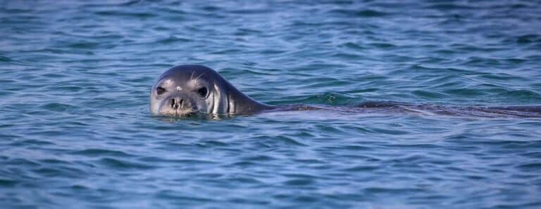Marine & Zoological Parks in Greece
