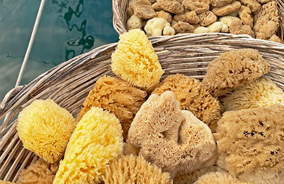 Tradition de la pêche aux éponges