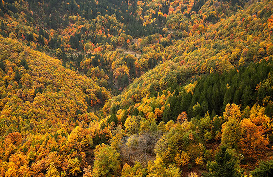 the-villages-of-grevena
