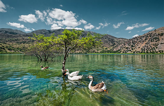 Λίμνη Κουρνά