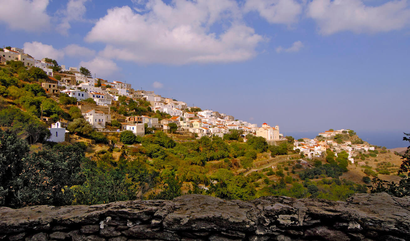 Hillside with traditional settlement at the top and strips of land with trees and plants lower. 