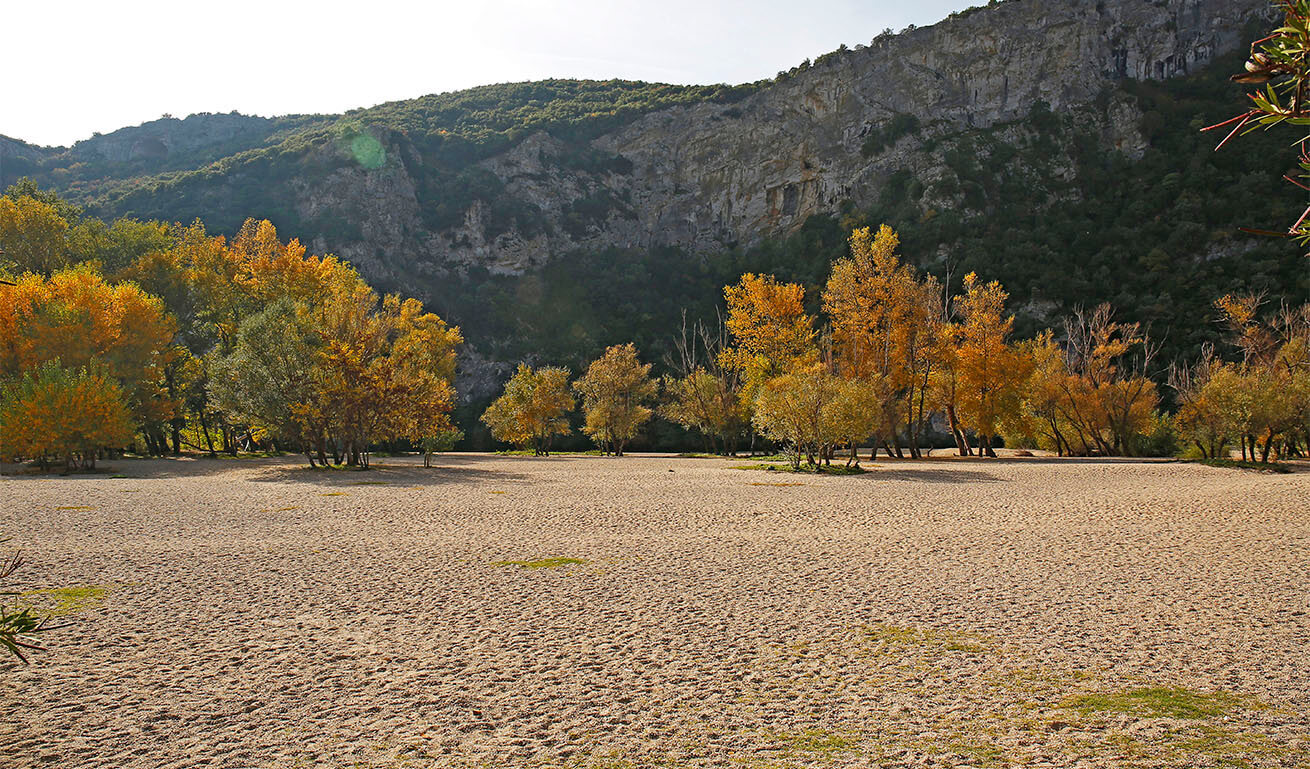 Όχθη ποταμού με άμμο σε μεγάλη έκταση. Στο βάθος δέντρα με κίτρινα πράσινα και καφέ φύλλα και πίσω τους ψηλός βράχος με πράσινα φυτά.