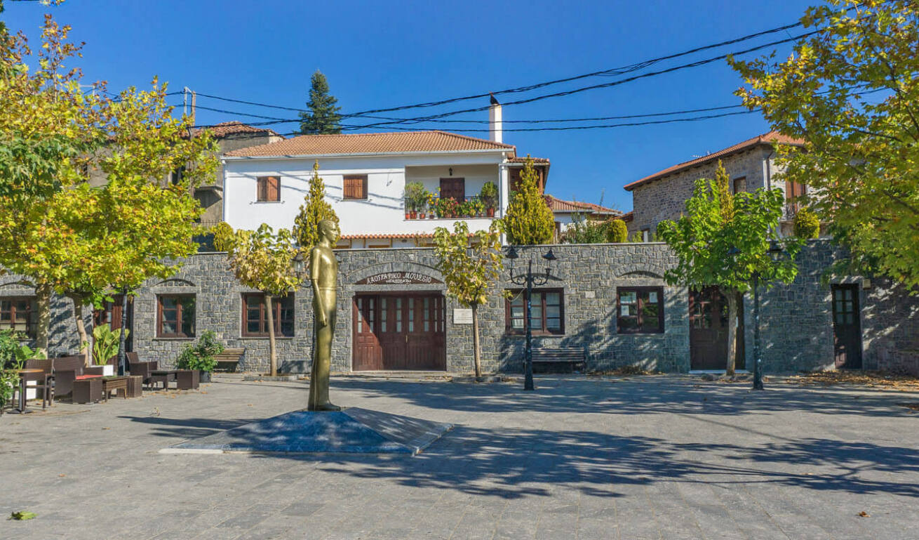 Άποψη του ορεινού χωριού της Βυτίνας, με παραδοσιακά πέτρινα σπίτια και δέντρα