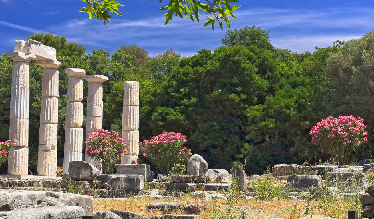 Αρχαίες στήλες στη Σαμοθράκη που περιβάλλονται από συστάδα δένδρων