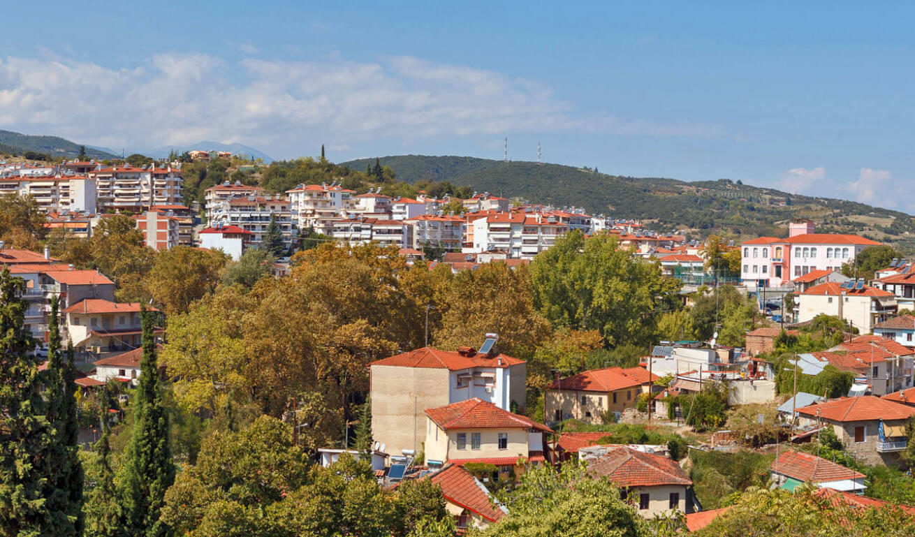 Panoramic view of the town with many traditional houses and many trees