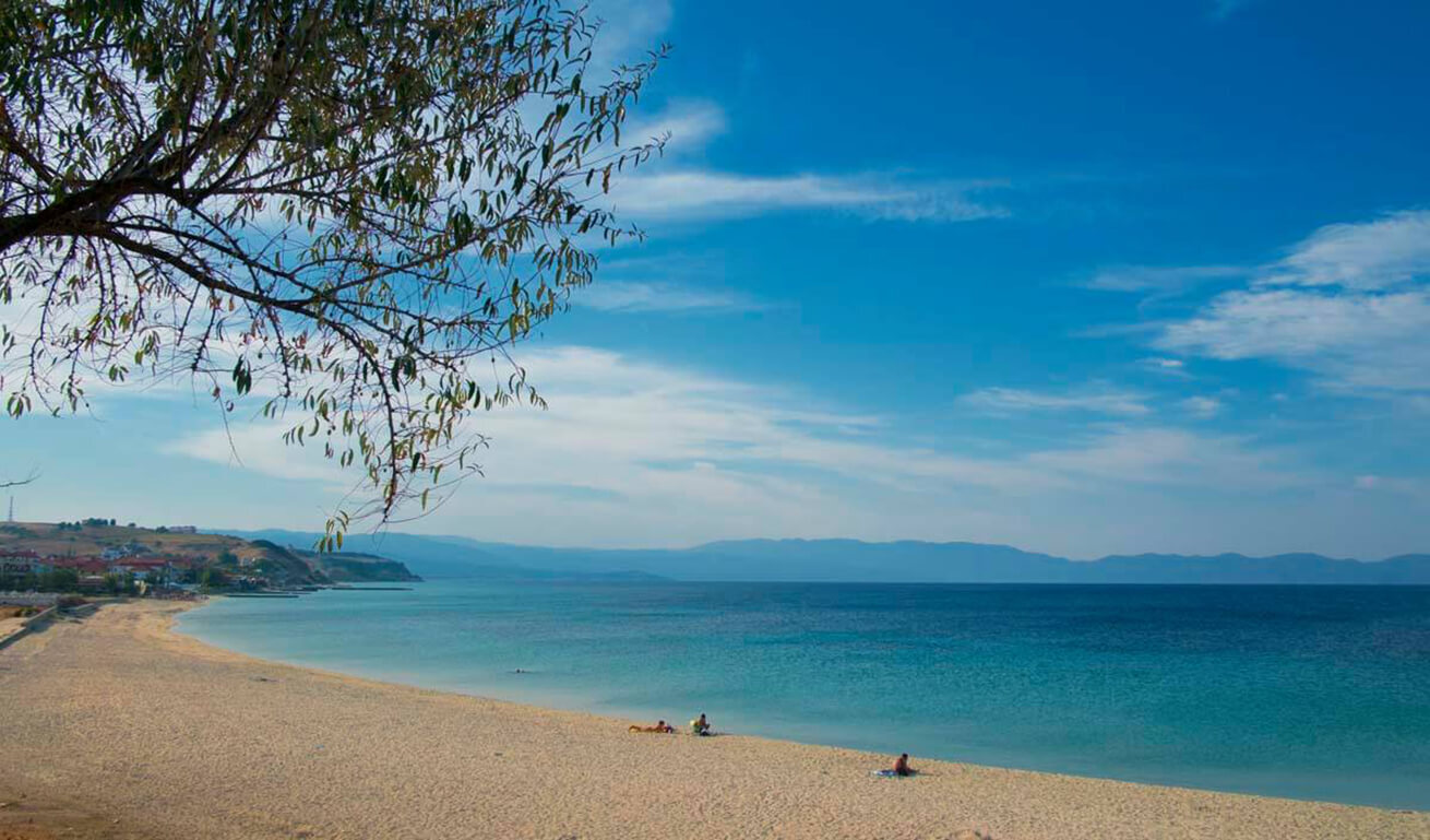 A serene beach scene with a few people relaxing on the sandy shore under a clear blue sky. A tree branches into the left side of the frame, overlooking the calm blue waters.
