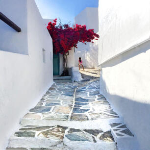 Girl walking on cobbled alley between white houses. In a yard a large red bougainvillea. 