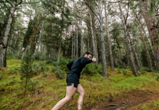 Αθλητης τρεχει μέσα από μονοπάτι σε δάσος με πεύκα, έλατα, βελανιδιές και κουμαριές
