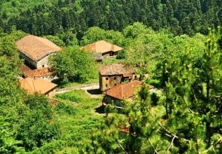 s_1094651843_ano_skotina_555_360