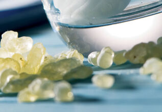 baltatzis_mastic_555x360