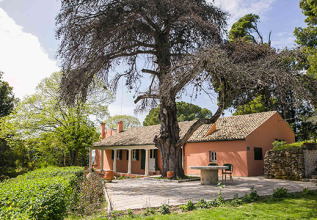 capodistiasmuseum_102_museums-corfu-capodistrias_555x360