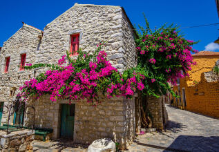 d_490389768_areopoli_1310x769