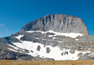 i_121222206_11_olympus_555x360