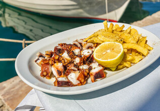 i_1312934572_traditionalproducts-paros_555x360