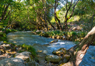 i_1435776282_landactivities-mainolotrail-lousiosriver_555x360