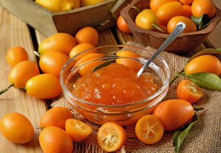 i_647430066_corfudelicacies-kumquat_555x360