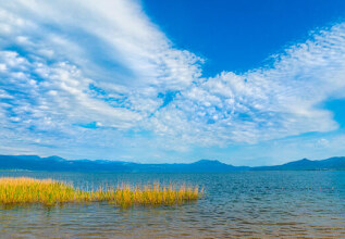 i_948705214_lakestrichonida_555x360