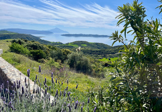 A scenic view of a coastal landscape on a clear day, featuring a pathway lined with greenery and purple flowers, leading towards a calm sea with distant mountains under a partly cloudy sky.
