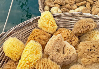 katopi_1310_spongeharvesterskalymnos_555x360