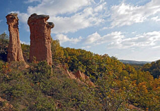 kokkas_kozaniwildlandscapes-bouharia_555x360