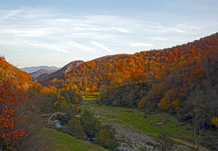 kokkas_xanthinaturalbeauties-kottani_555x360