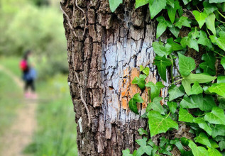 kordos_19_landactivities_minagiotiko_555x360