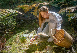 merakos_003greeceoffseason-mushrooms_555x360