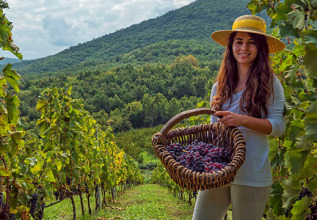 merakos_01_wineroutes-naousa_555x360