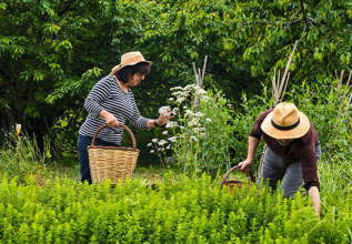 merakos_02_agriculture-pelion_555x360