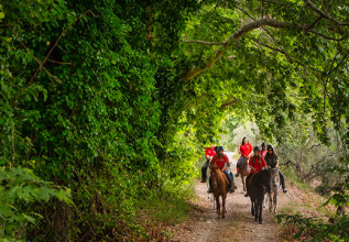 merakos_0495_horseriding-thessaly_555x360