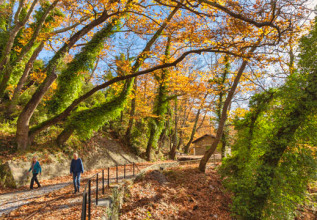 merakos_04_routesinpelion-milies_555x360