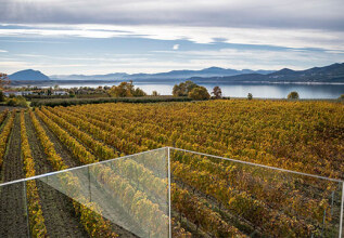 pantazis_06803_kozaniwinessiatista_555x360