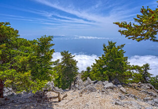 s_1146131642_forests-mountaiainos_555x360