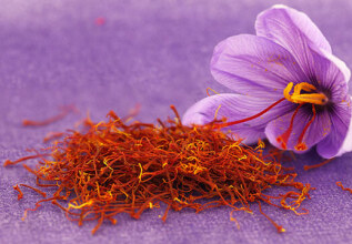 s_160806542_kozanicrocus_555x360