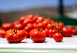 s_1681828186_traditionalproducts-pop_555x360