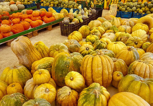 s_1797447949_traditionalproducts-pumpkin_550x360